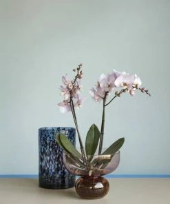 Hubsch Hübsch | Show Vase