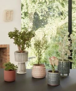 Hubsch Plinth Pot | Medium