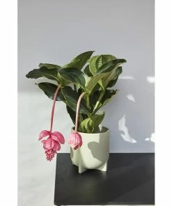 Hubsch Pot En Ceramique Vert Amande