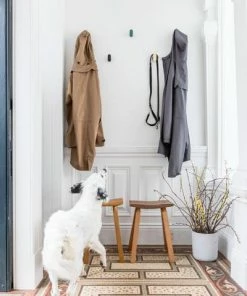 Hubsch Dime Metal Coat Hook | Black