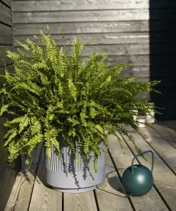 Hubsch Shade Green Metal Watering Can 1.5L