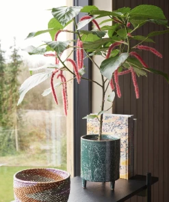 Hubsch Pot, ceramics, green, s/2