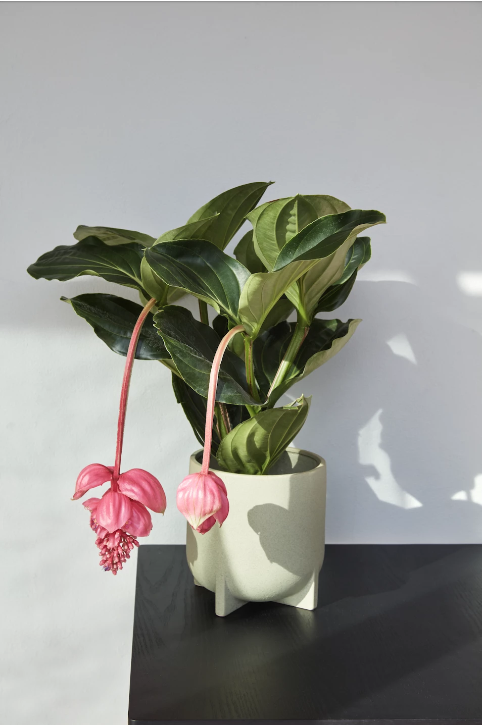 Hubsch Mint Ceramic Pot with Legs in Large