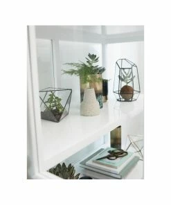 Hubsch Small Glass and Brass Terrarium