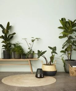 Hubsch 34 x 33cm Hickory Basket