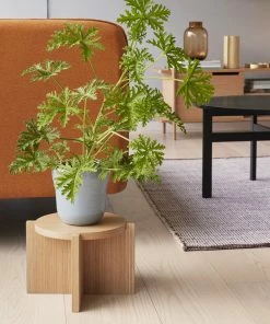 Hubsch Base Nomad Oak D30x20