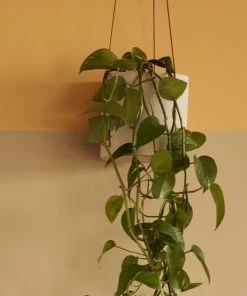 Hubsch Set of 2 White Ceramic Pots with Leather Hanging Strap