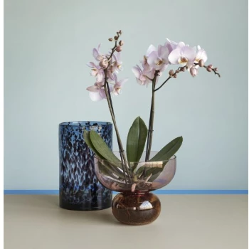 Hubsch Glass Vase Blue Bordeaux