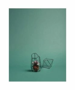 Hubsch Small Glass and Brass Terrarium