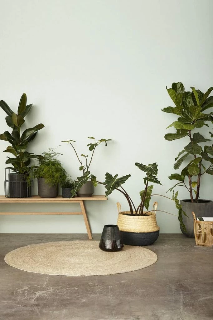 Hubsch 39 x 36cm Hickory Basket