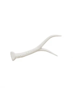 Hubsch Small White Porcelain Antler