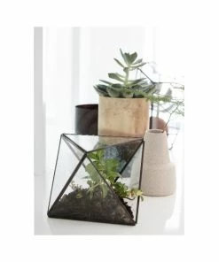 Hubsch Small Glass and Brass Terrarium