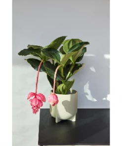 Hubsch Green Split Stoneware Pot Large